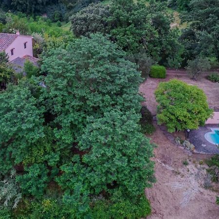 La Casa Nel Bosco Villa Lari Eksteriør bilde