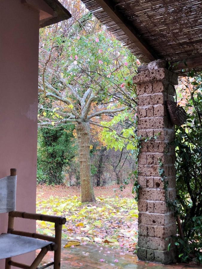 La Casa Nel Bosco Villa Lari Eksteriør bilde