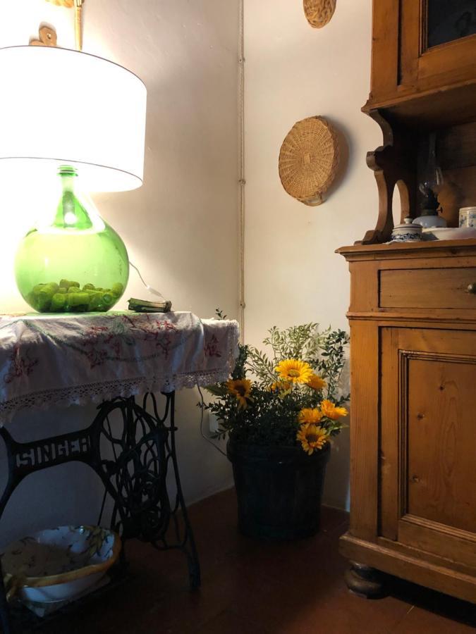 La Casa Nel Bosco Villa Lari Eksteriør bilde