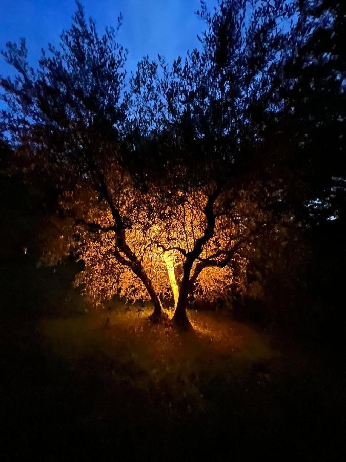 La Casa Nel Bosco Villa Lari Eksteriør bilde