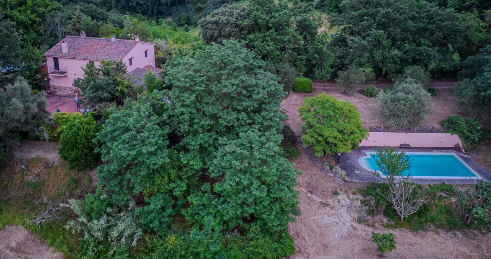 La Casa Nel Bosco Villa Lari Eksteriør bilde
